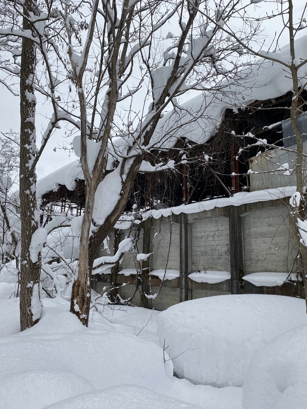 f:id:irodoriirodori:20220131003704j:plain