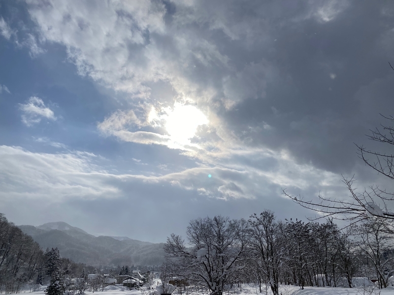 f:id:irodoriirodori:20220131005252j:plain