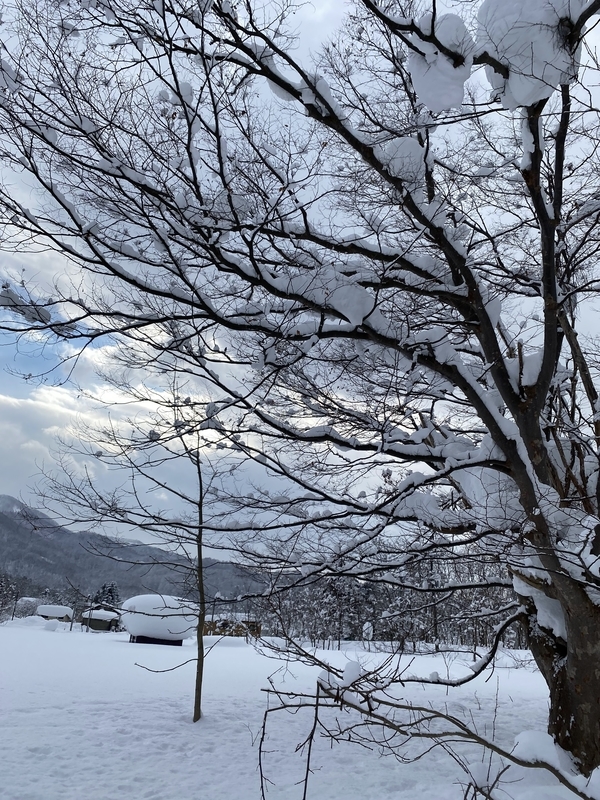 f:id:irodoriirodori:20220131005834j:plain