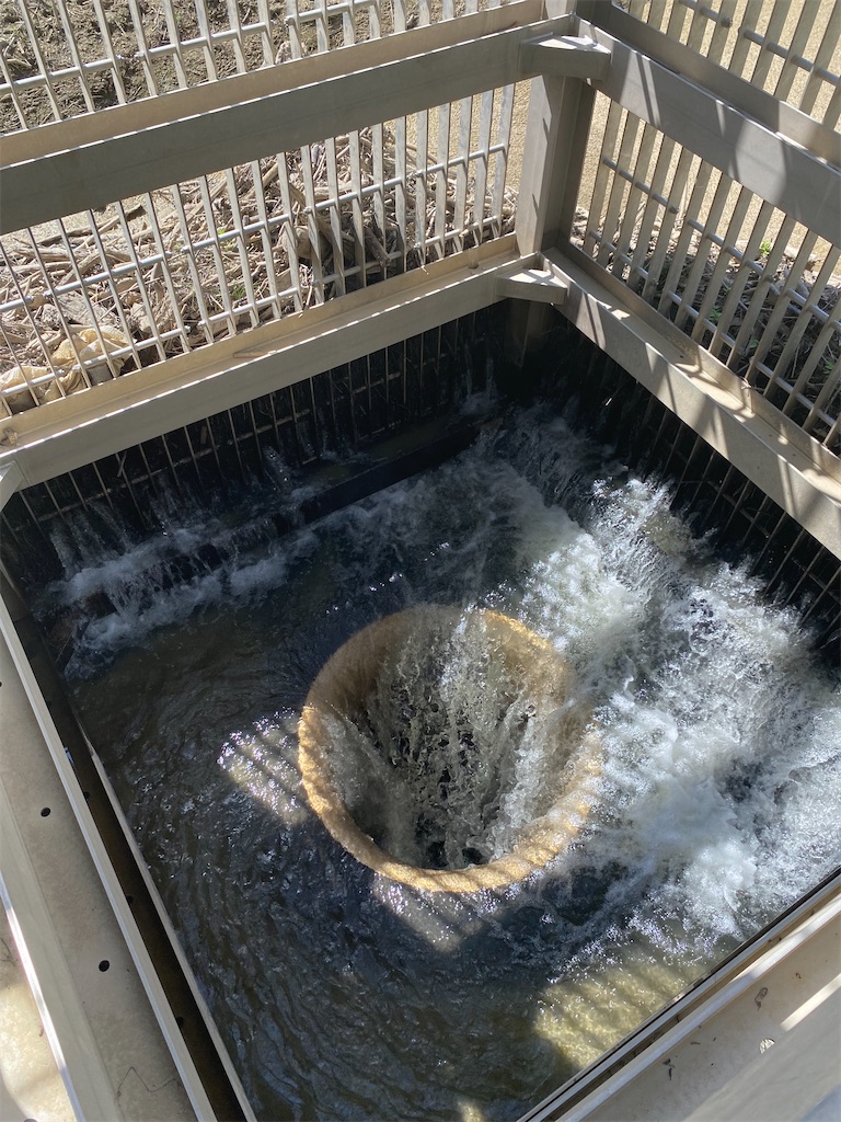 f:id:irodoriirodori:20230830230538j:image f:id:irodoriirodori:20230830230538j:image