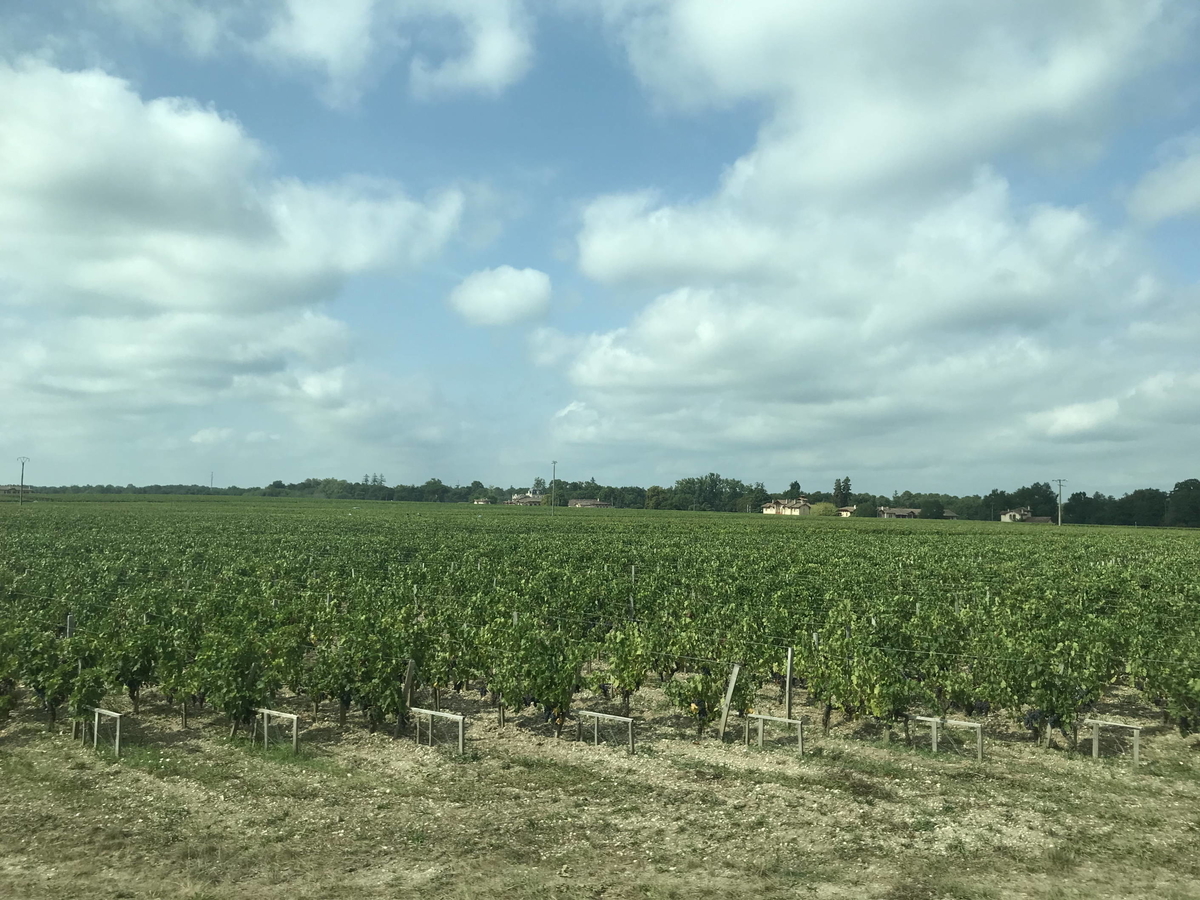 f:id:irodorileben:20190910120220j:plain f:id:irodorileben:20190910120220j:plain