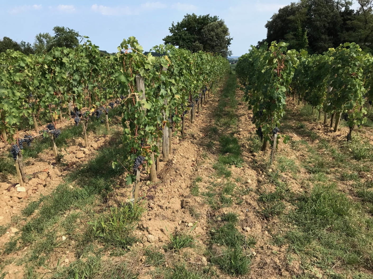 f:id:irodorileben:20191023150420j:plain f:id:irodorileben:20191023150420j:plain