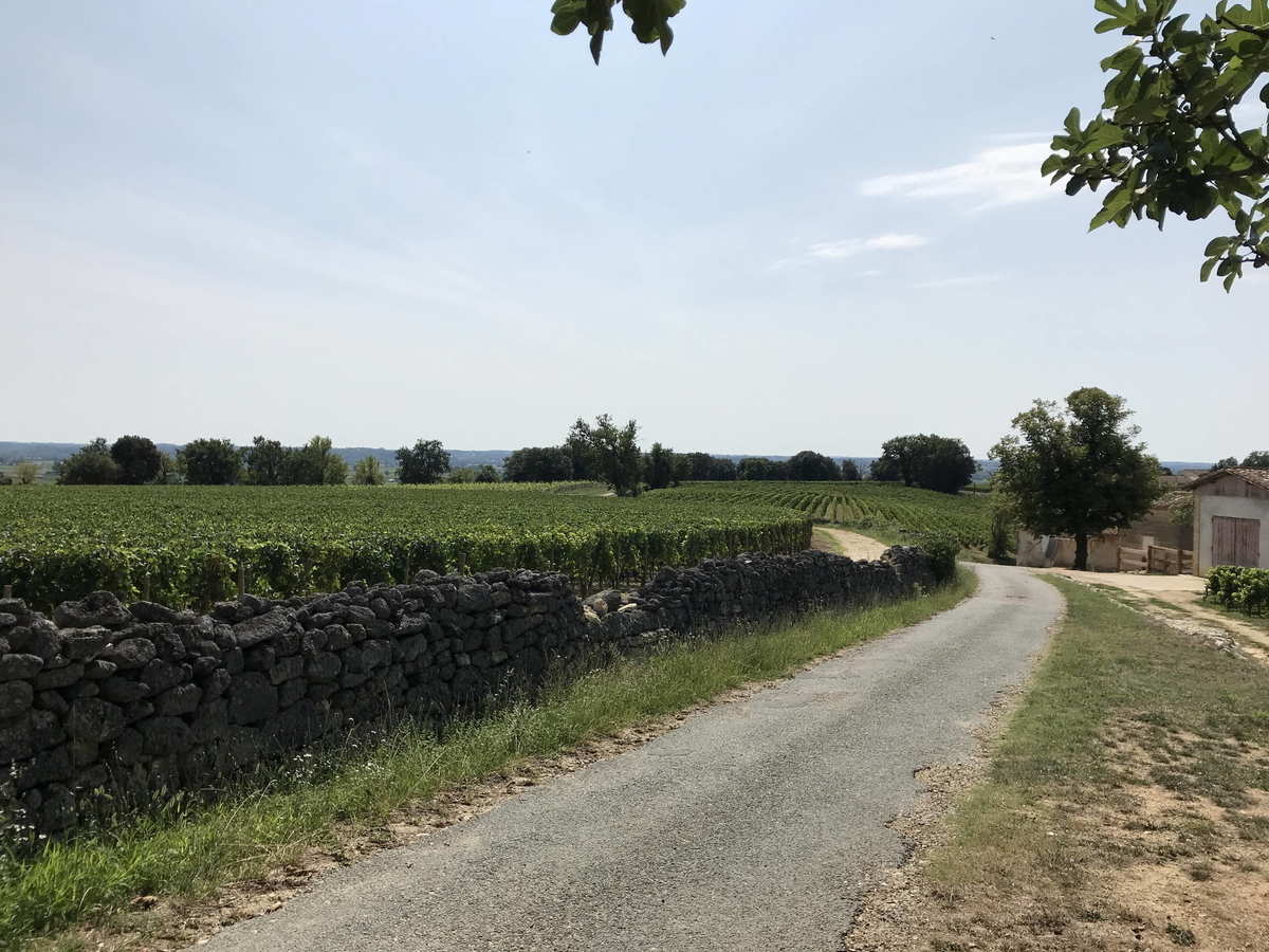 f:id:irodorileben:20191023150432j:plain f:id:irodorileben:20191023150432j:plain