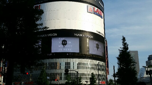 メトロックで関ジャニ が思った以上にかっこよくて戸惑っている方々へ 安心してください 普通ですよ いろんな意味でギリギリ