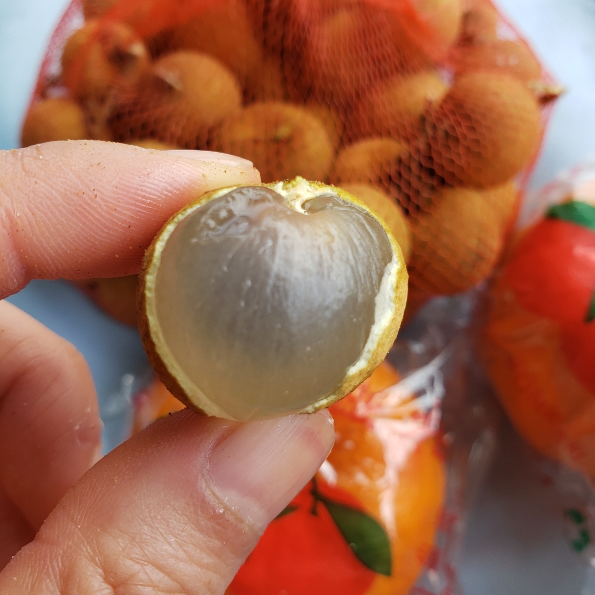 f:id:irogiri:20190604210110j:plain f:id:irogiri:20190604210110j:plain