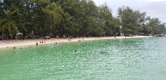 f:id:irogiri:20190604211417j:plain f:id:irogiri:20190604211417j:plain