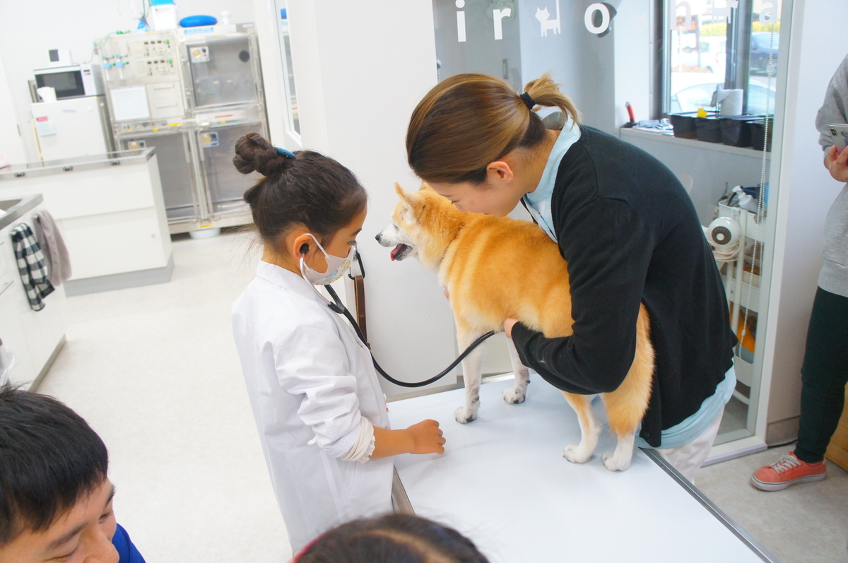 f:id:iroha-vet:20191229144942j:plain f:id:iroha-vet:20191229144942j:plain