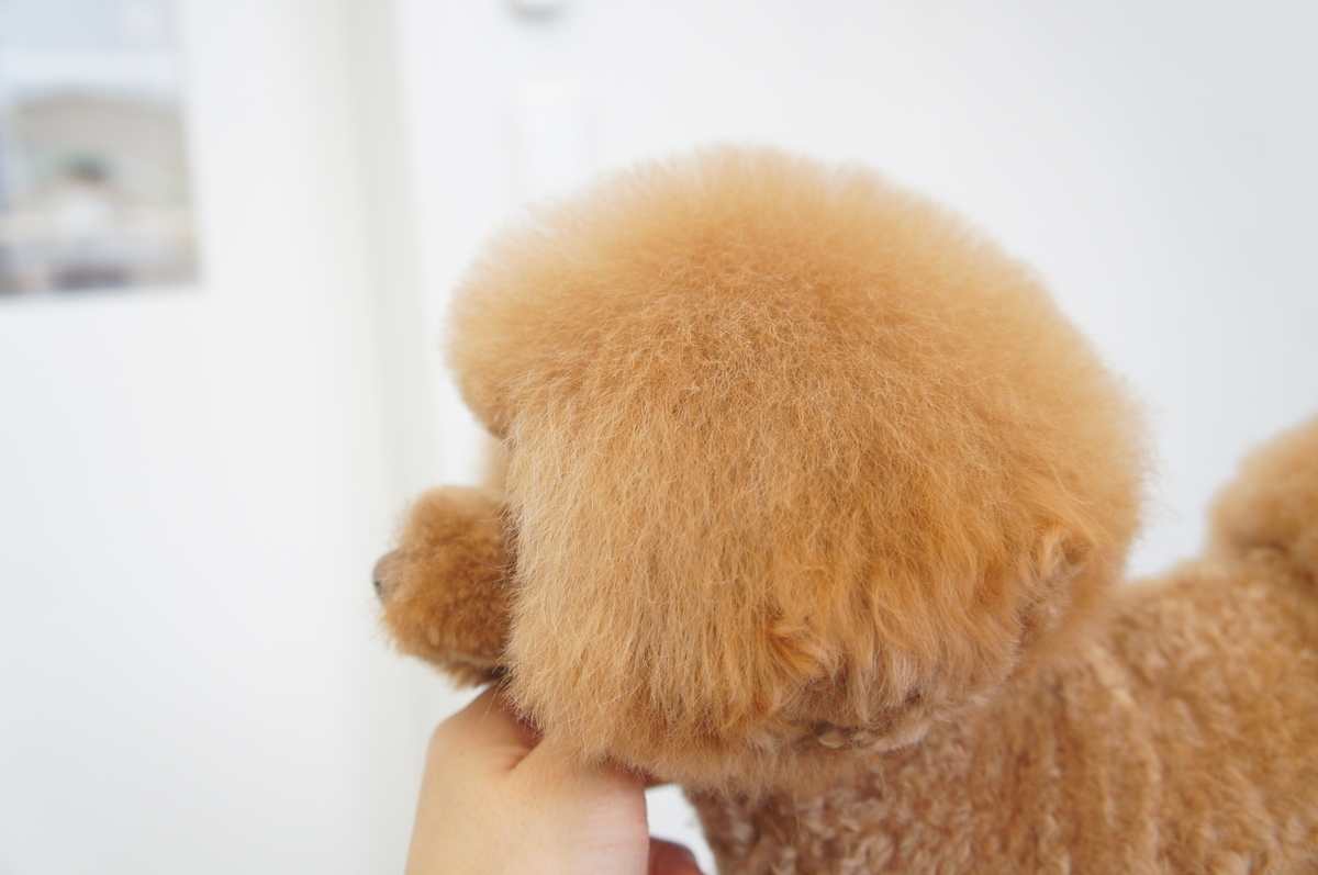 f:id:iroha-vet:20200401180638j:plain