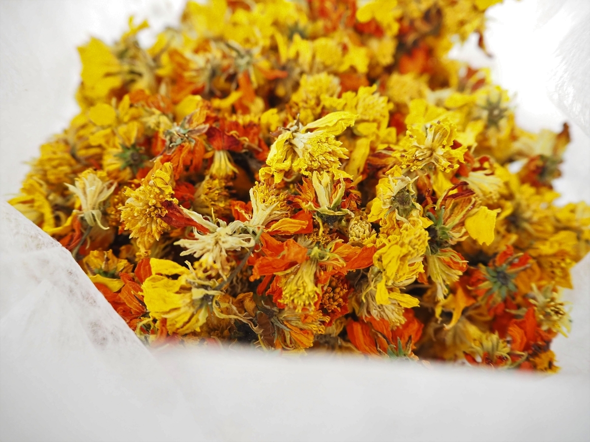 キバナコスモス染め ドライフラワー 21 いろどり
