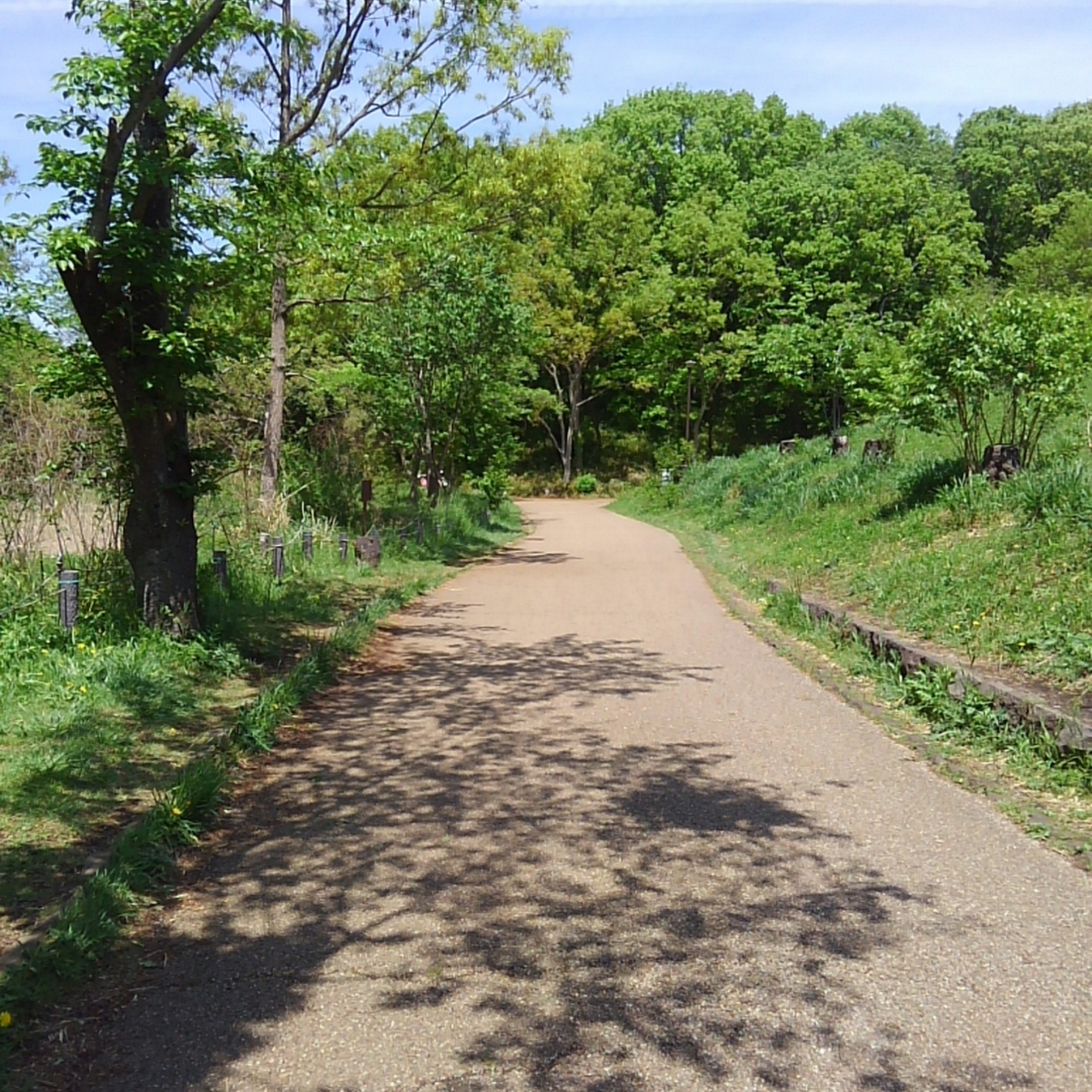f:id:irokara:20190428232631j:plain f:id:irokara:20190428232631j:plain