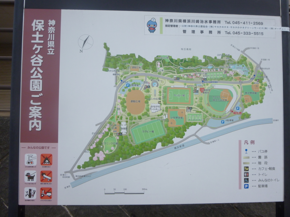 f:id:irokara:20190505225510j:plain f:id:irokara:20190505225510j:plain