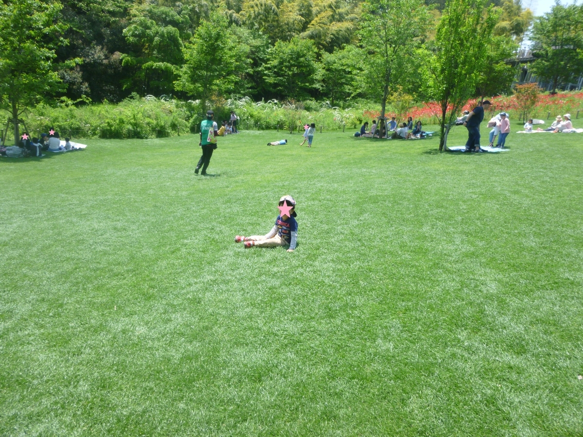 f:id:irokara:20190506003009j:plain f:id:irokara:20190506003009j:plain