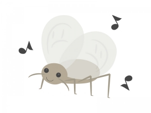 f:id:irokara:20190809004203j:plain f:id:irokara:20190809004203j:plain