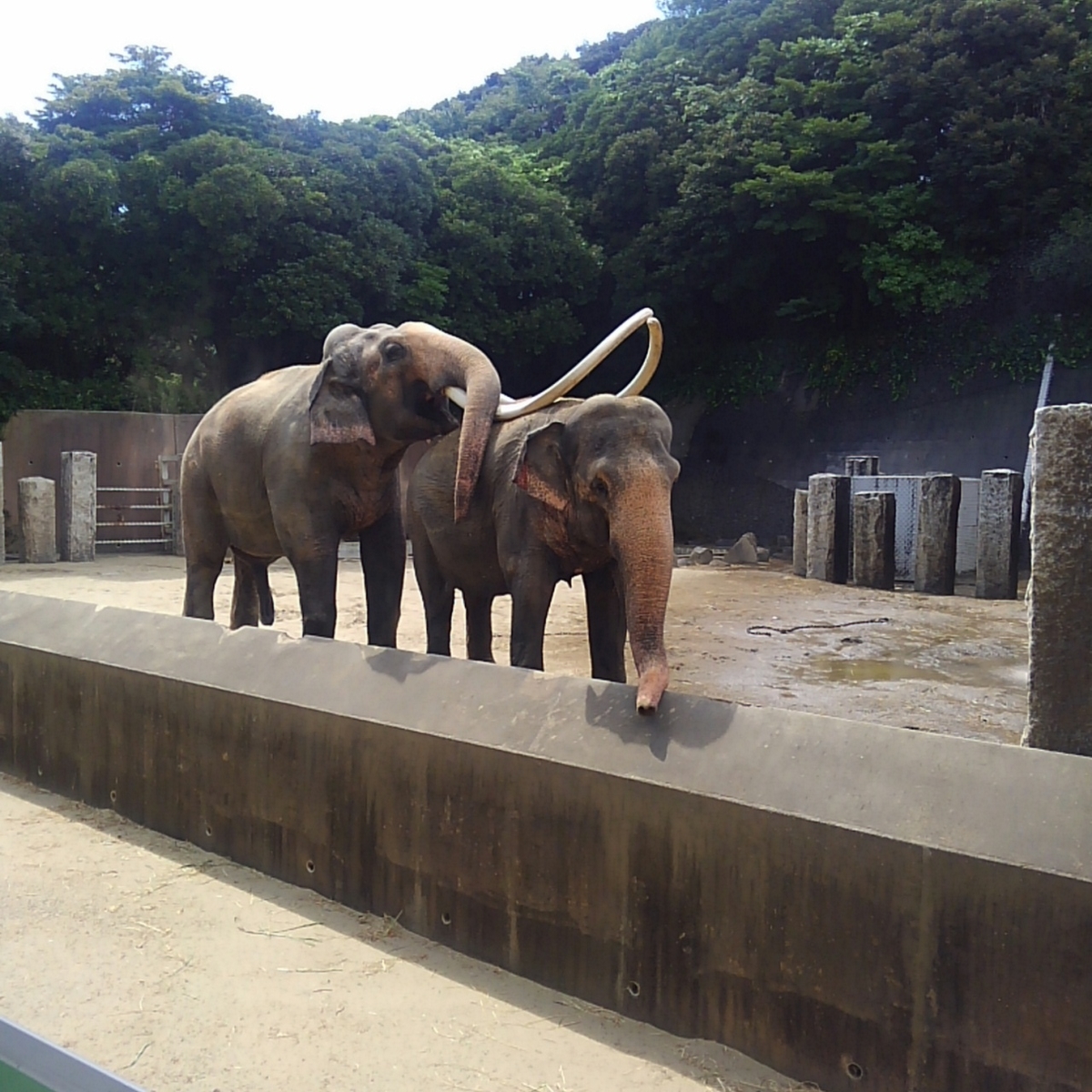 金沢動物園