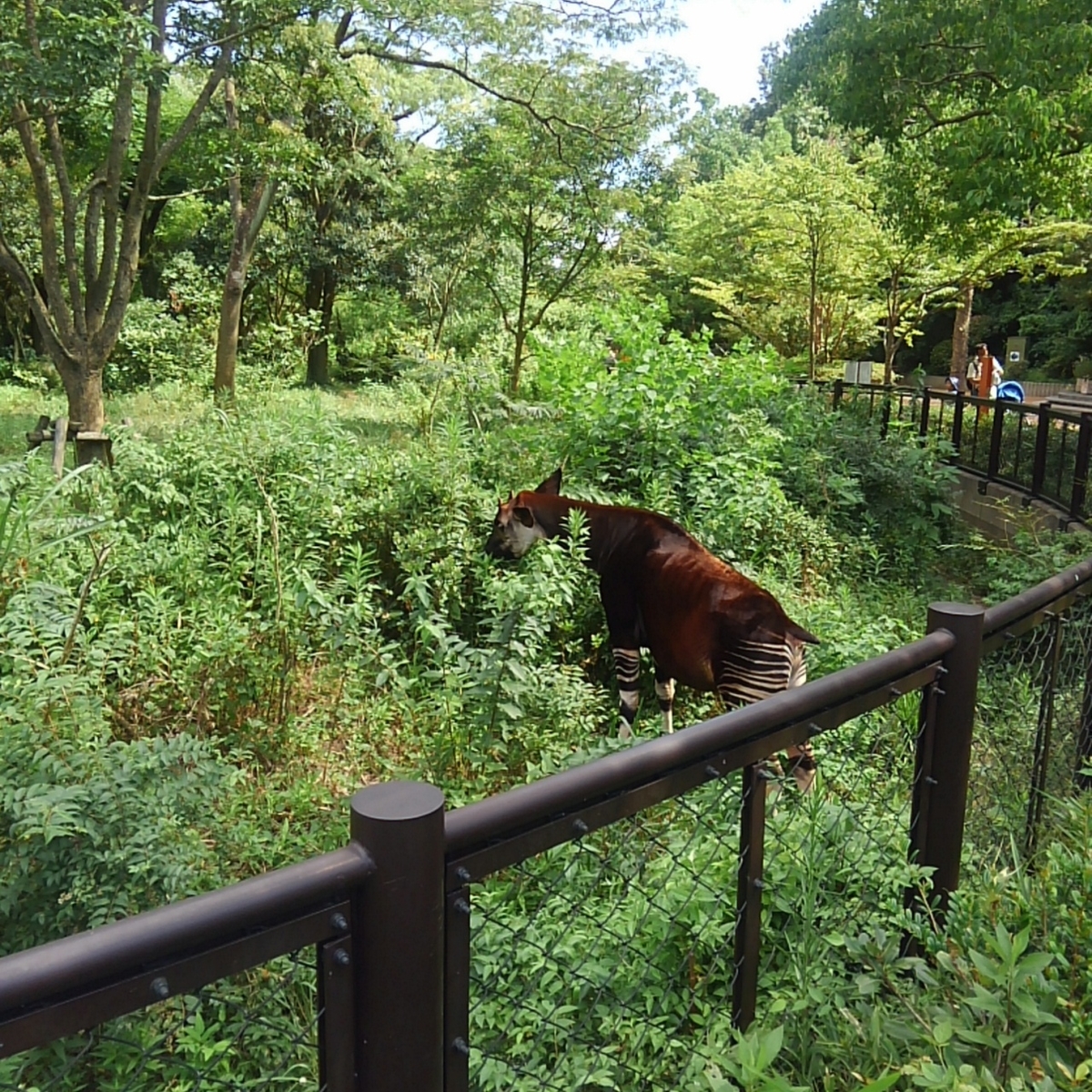 金沢動物園