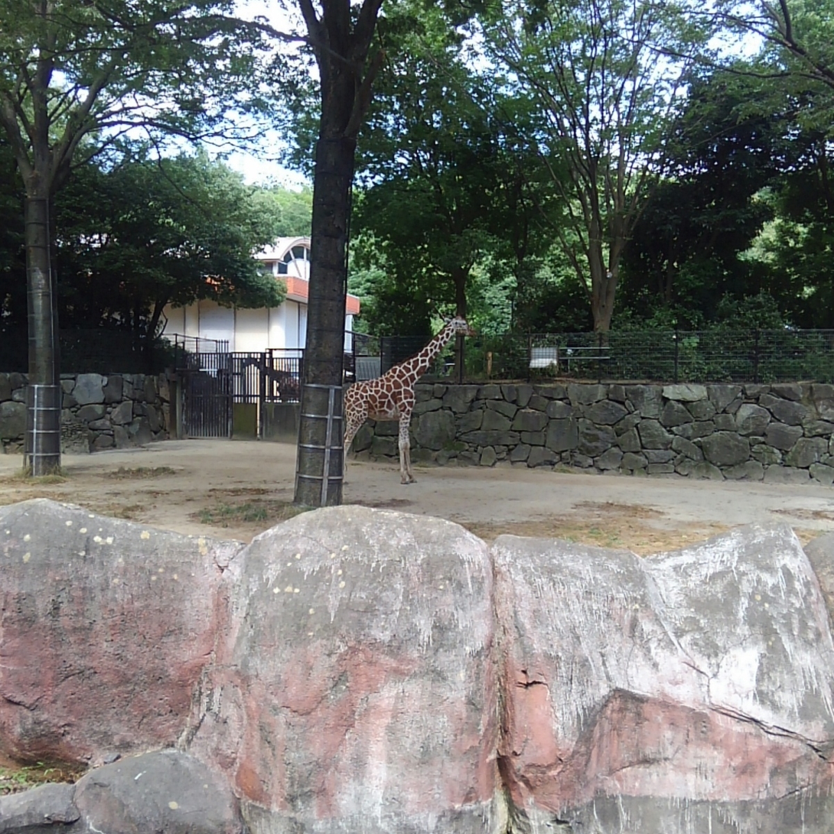 金沢動物園