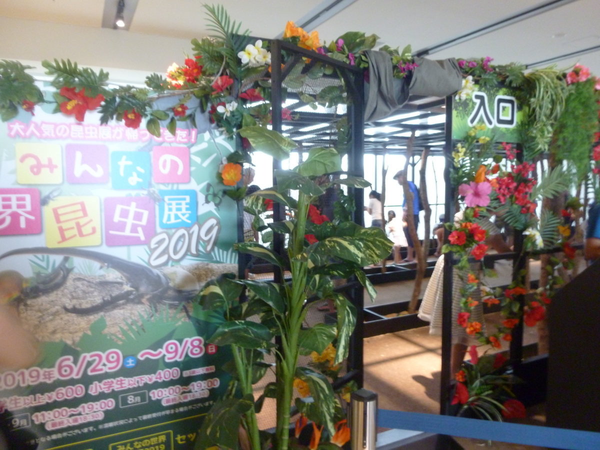 オービィ横浜 みんなの世界昆虫展