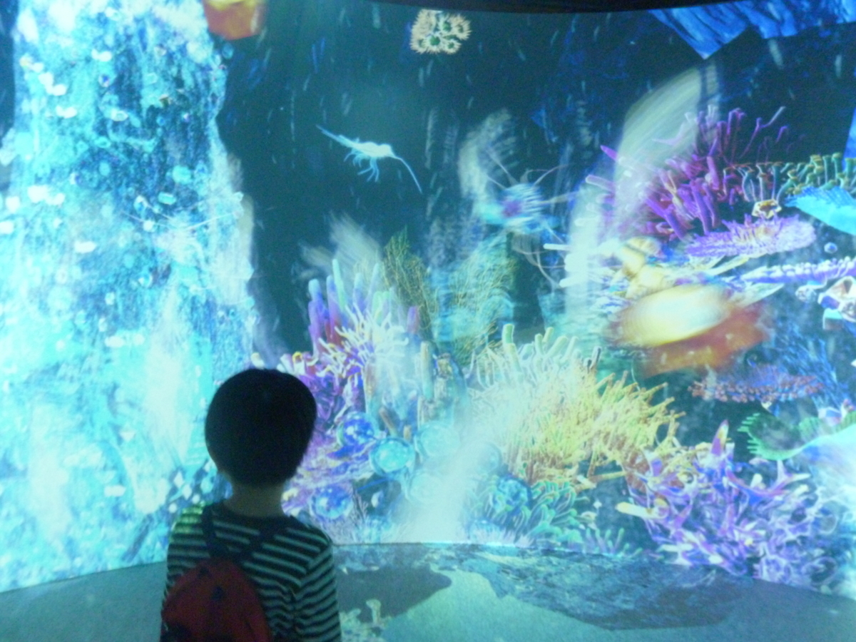 光の深海展 アソビル