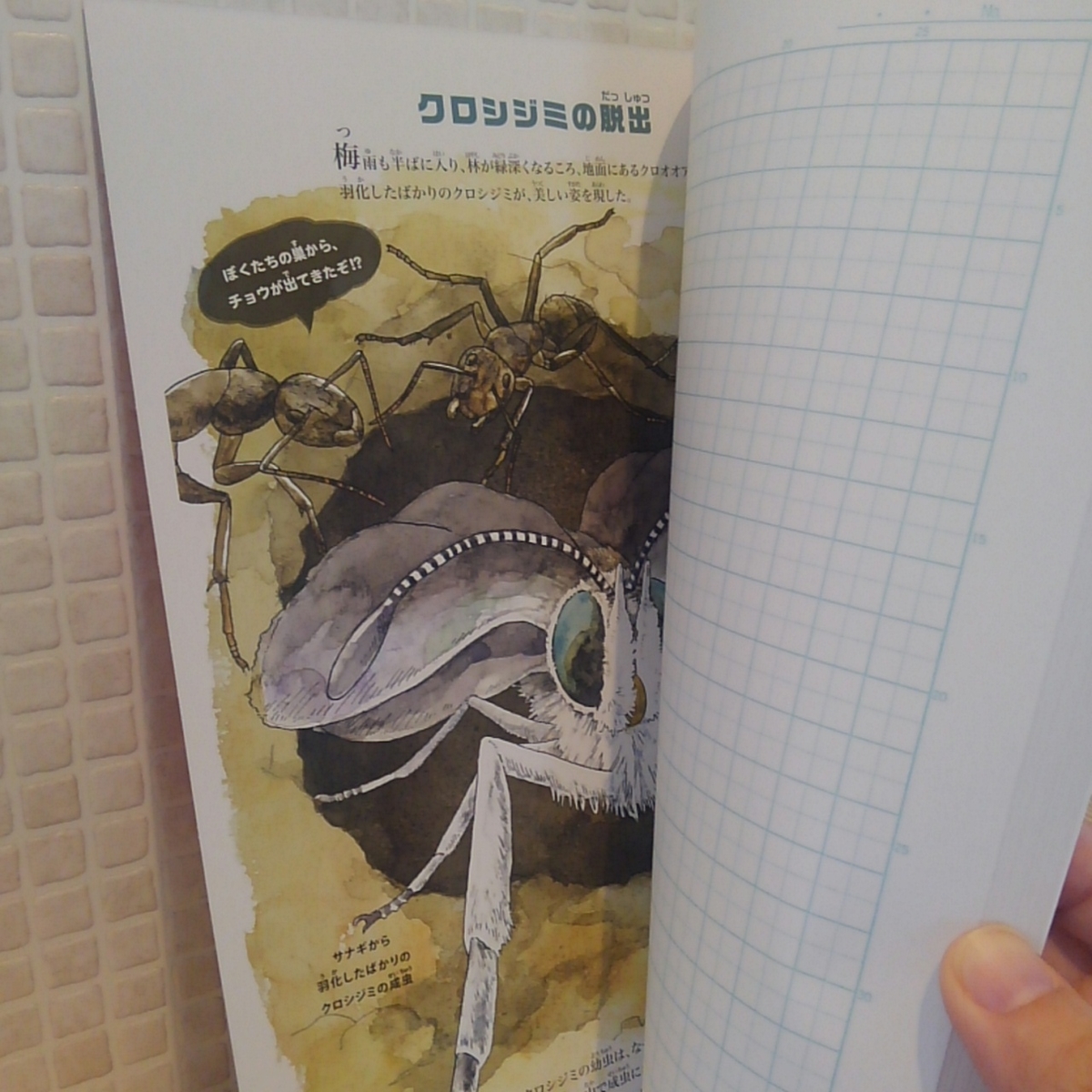 ジャポニカ学習帳 昆虫シリーズが届いた 懐かしくて新しい フォトまわりのイラストにも注目 くらし遊ビギナー