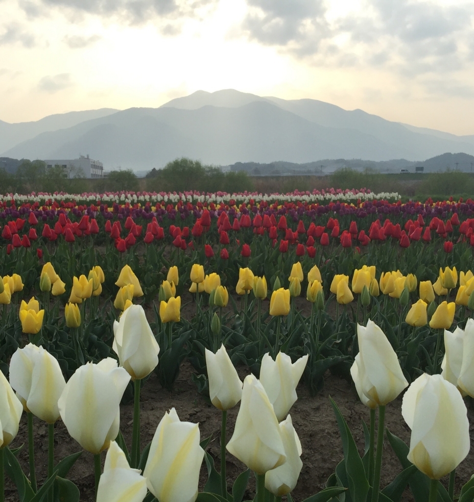 f:id:irokokoro16:20180401221455j:plain f:id:irokokoro16:20180401221455j:plain