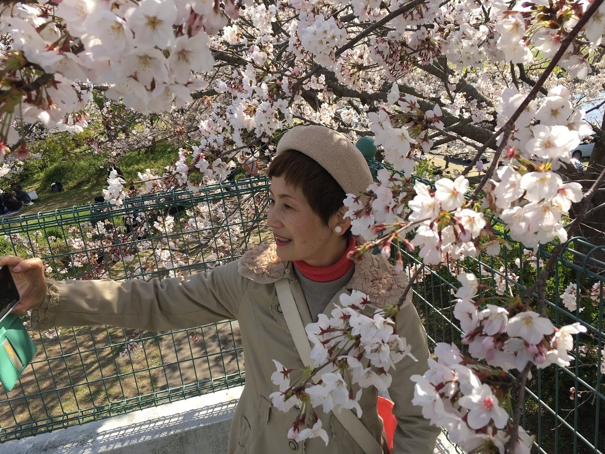 f:id:irokokoro16:20190408213007j:plain f:id:irokokoro16:20190408213007j:plain