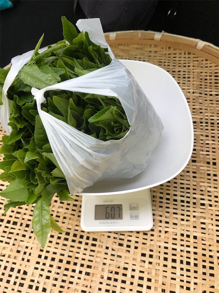 f:id:irom-y:20180610171241j:image
