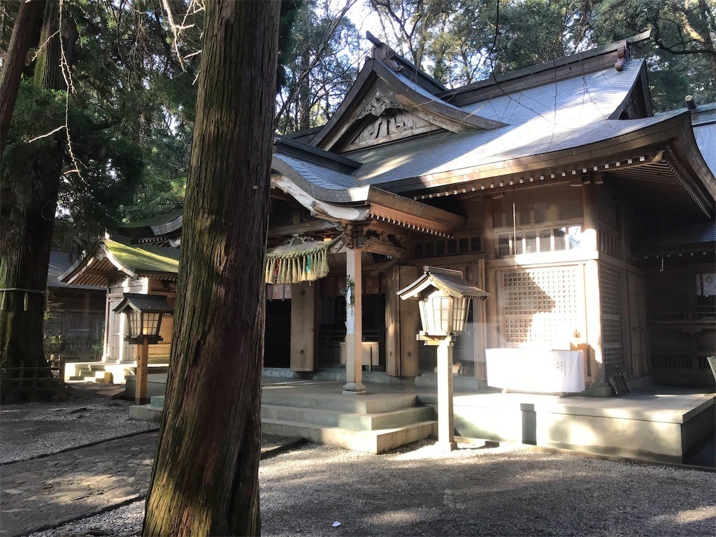 f:id:irom-y:20181230215147j:image
