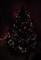 我が家のクリスマスツリー