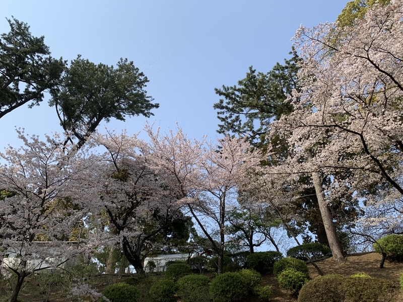 f:id:ironclaw:20190408213834j:plain f:id:ironclaw:20190408213834j:plain