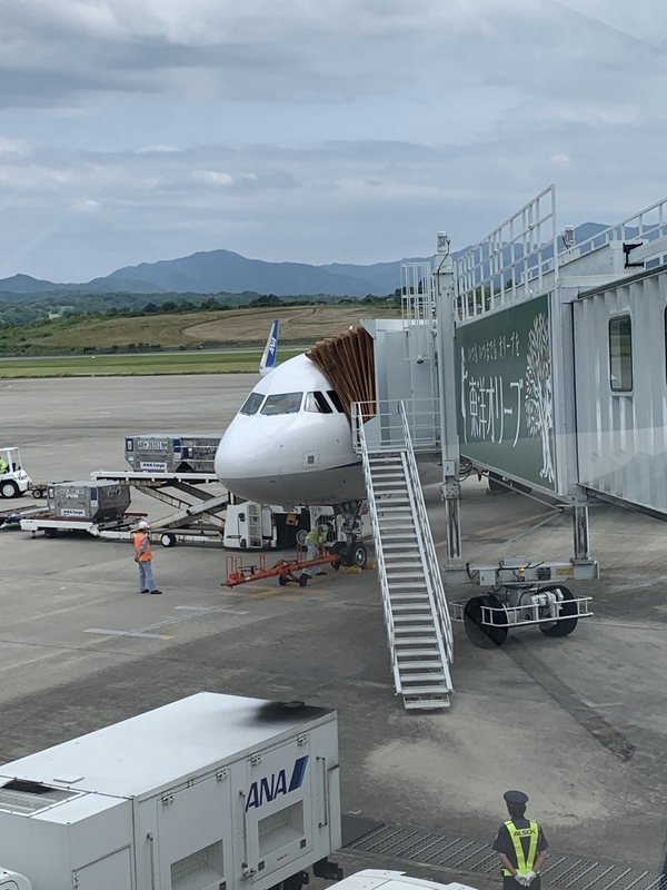 f:id:ironclaw:20190610223737j:plain
