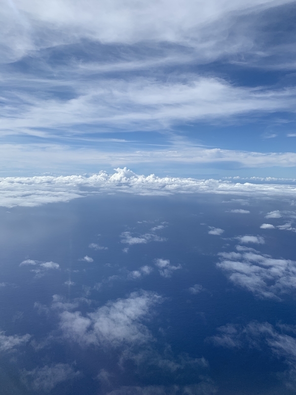 f:id:ironclaw:20191022100611j:plain f:id:ironclaw:20191022100611j:plain