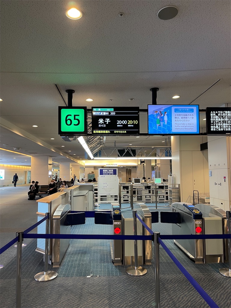 スカイコイン消費フライト 全日空 ANA389 羽田→米子 プレミアムクラス - Visitor D-BLUE