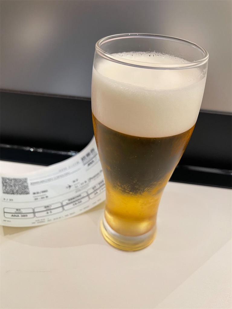 スカイ コイン 航空 券 いくら (98) 사진