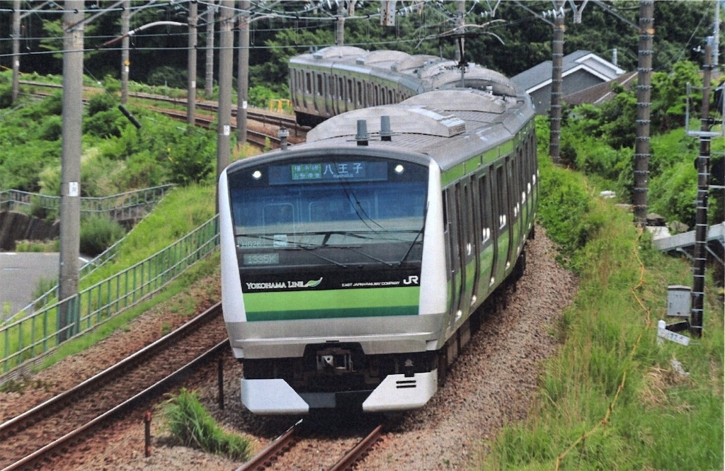 本日の切符：JR東日本 長津田駅発行 普通入場券 - Visitor D-BLUE