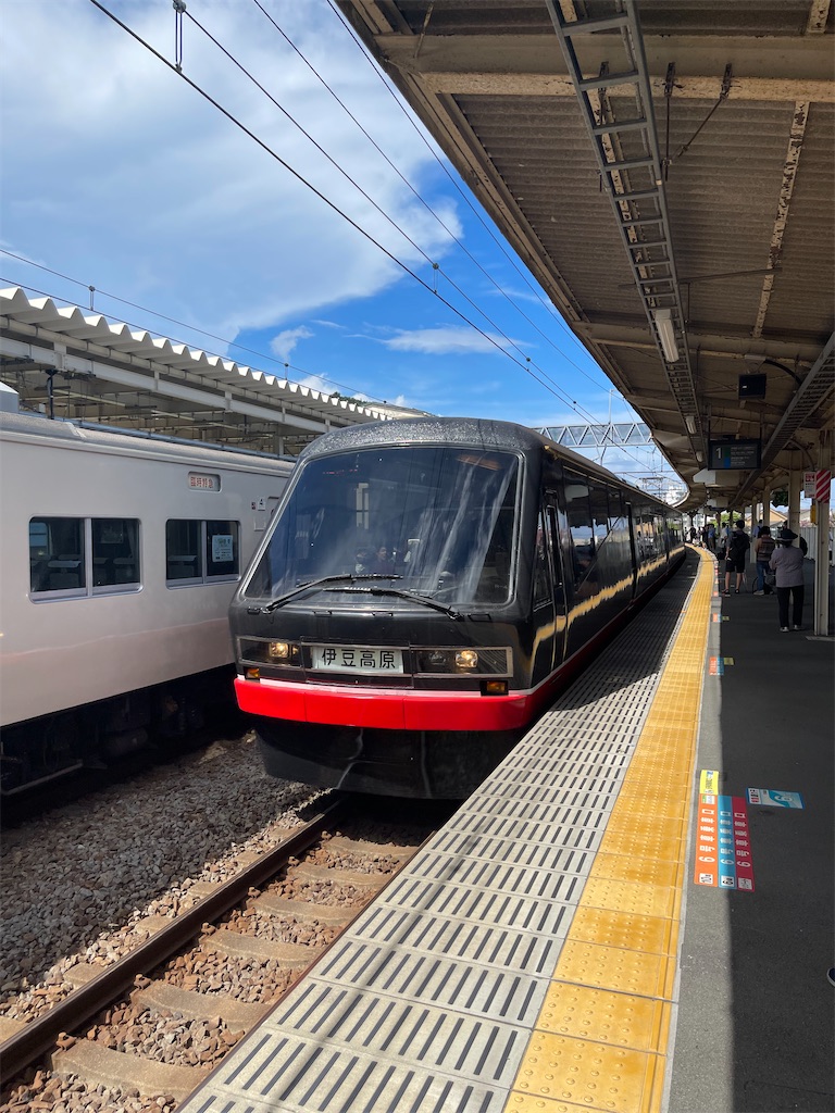 本日の使用切符：伊豆急行 伊東駅発行 ぷらっと伊豆高原割引往復乗車券