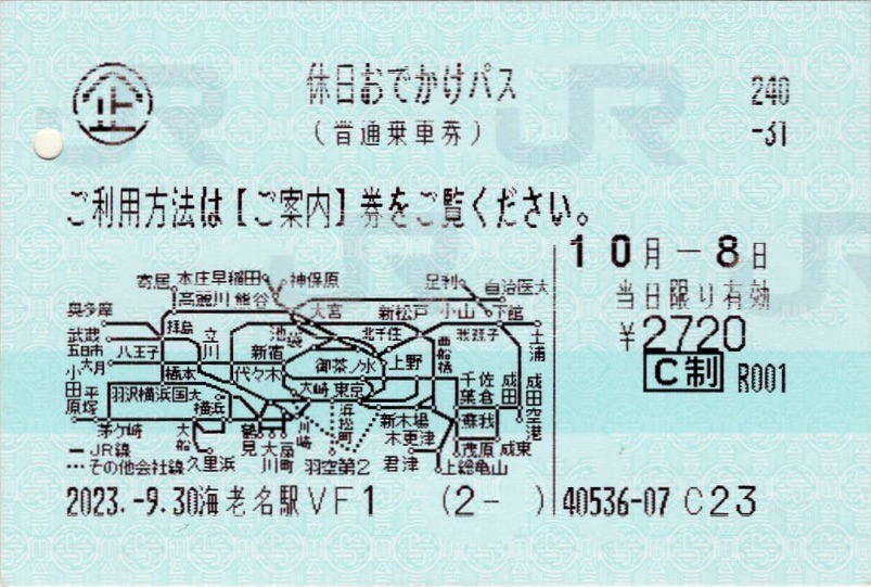 本日の使用切符：JR東日本 海老名駅発行 休日おでかけパス - Visitor D