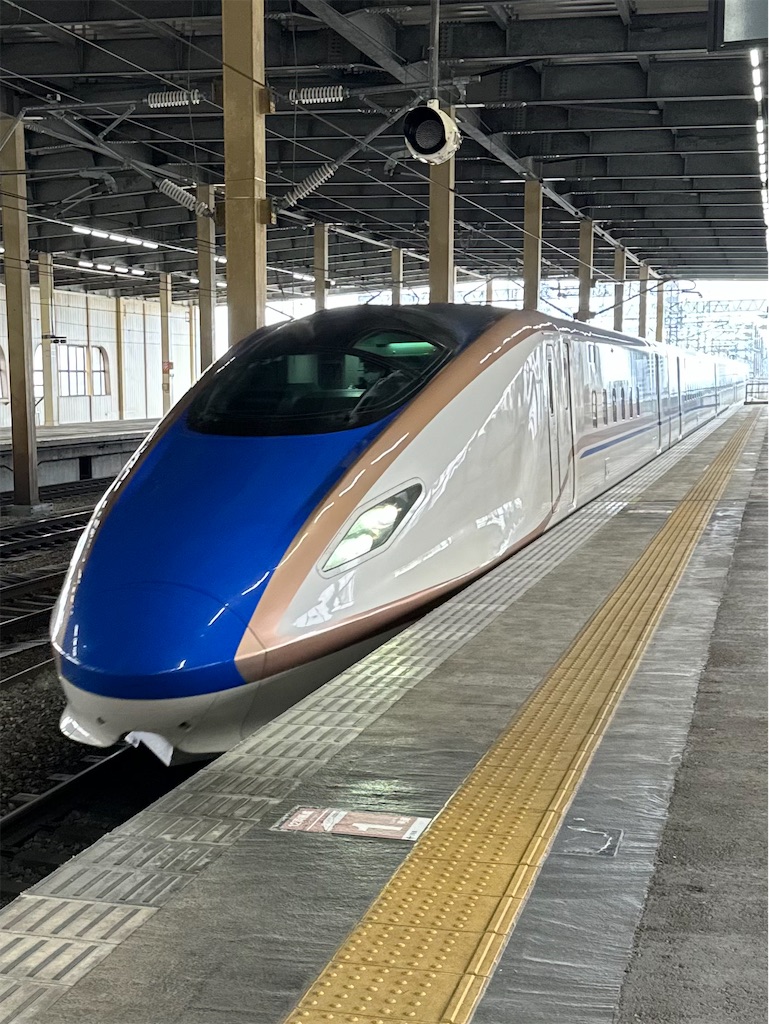 本日の使用切符：JR東日本 弥彦駅発行 燕三条➡︎新潟 新幹線特定特急