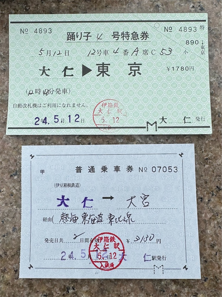 本日の使用切符：伊豆箱根鉄道 大仁駅発行 大仁➡︎大宮 補充片道乗車