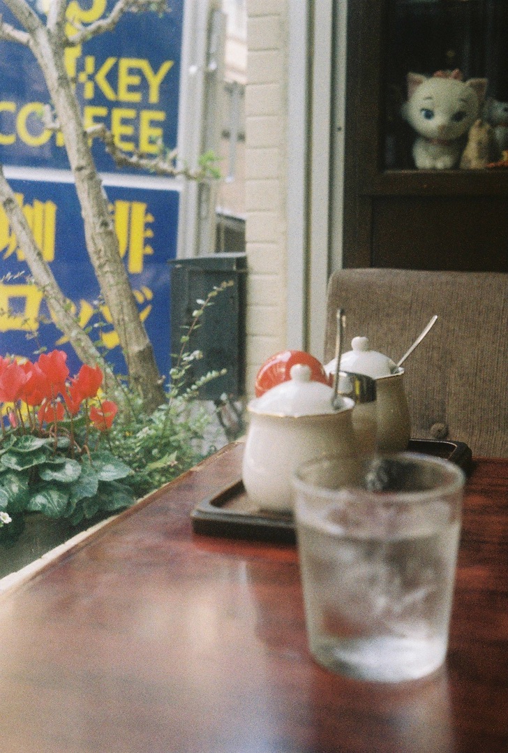 Canon Demi EE17 - 完全マニュアルで撮影できるハーフカメラを初心者に