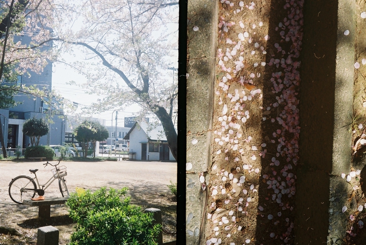 Canon Demi EE17 - 完全マニュアルで撮影できるハーフカメラを初心者に