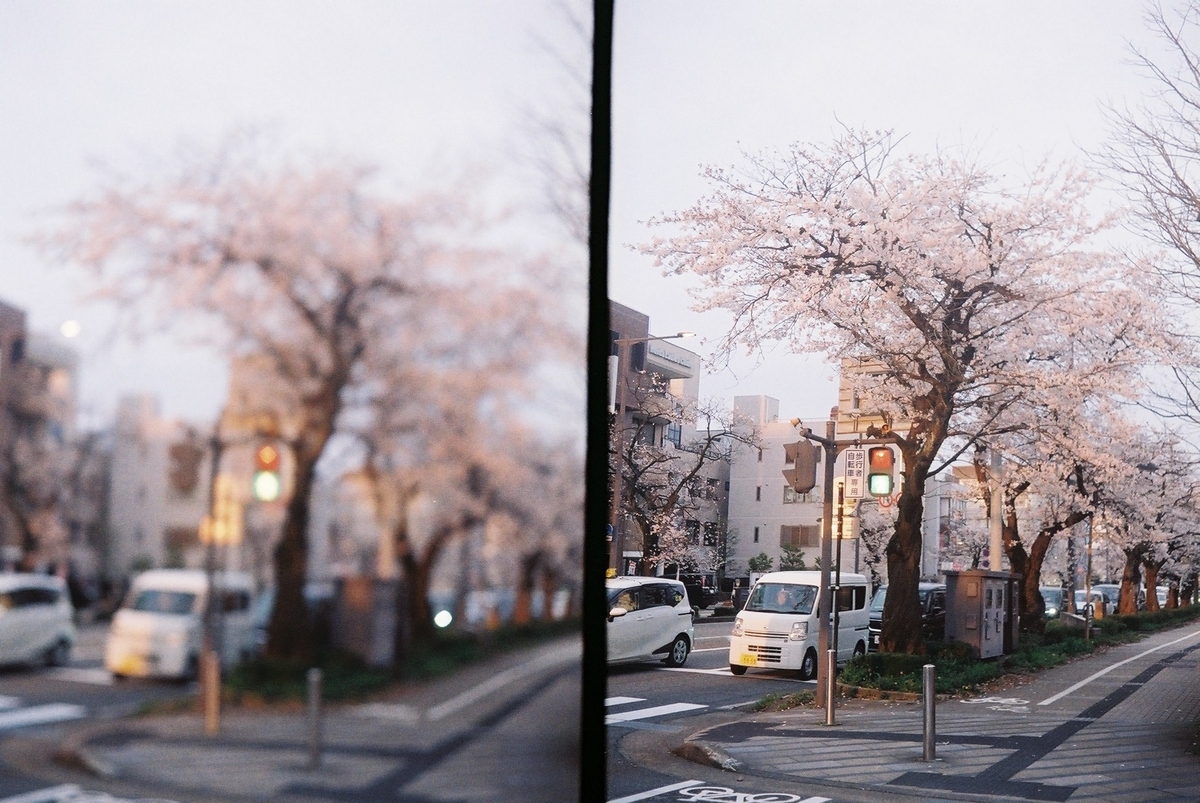 Canon Demi ハーフサイズフィルムカメラ 実写作例あり カメラ Canon