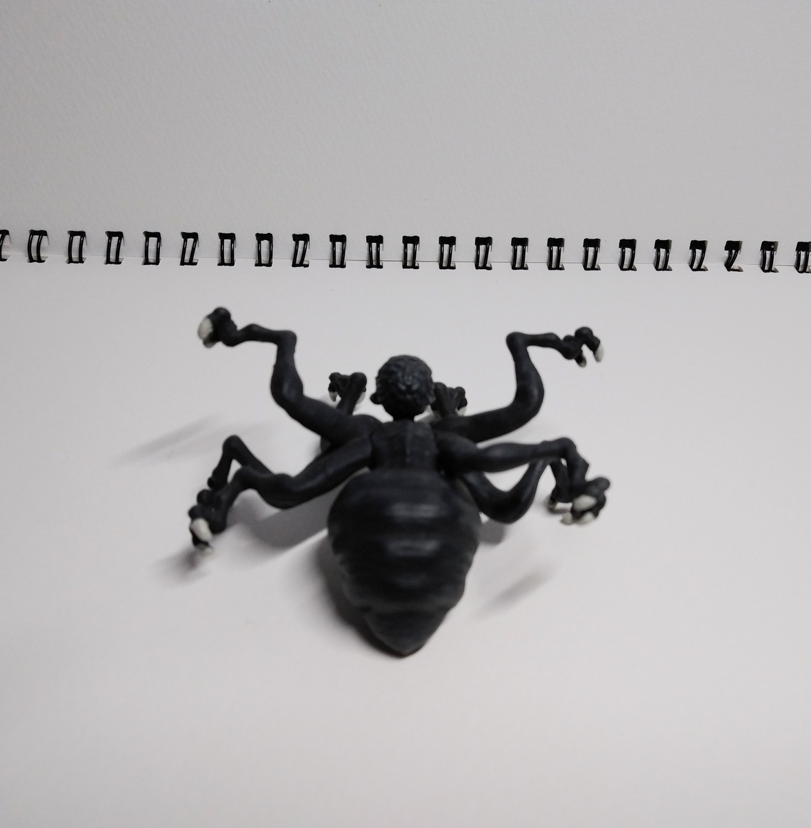 土隠の土蜘蛛 - 色筆の記録