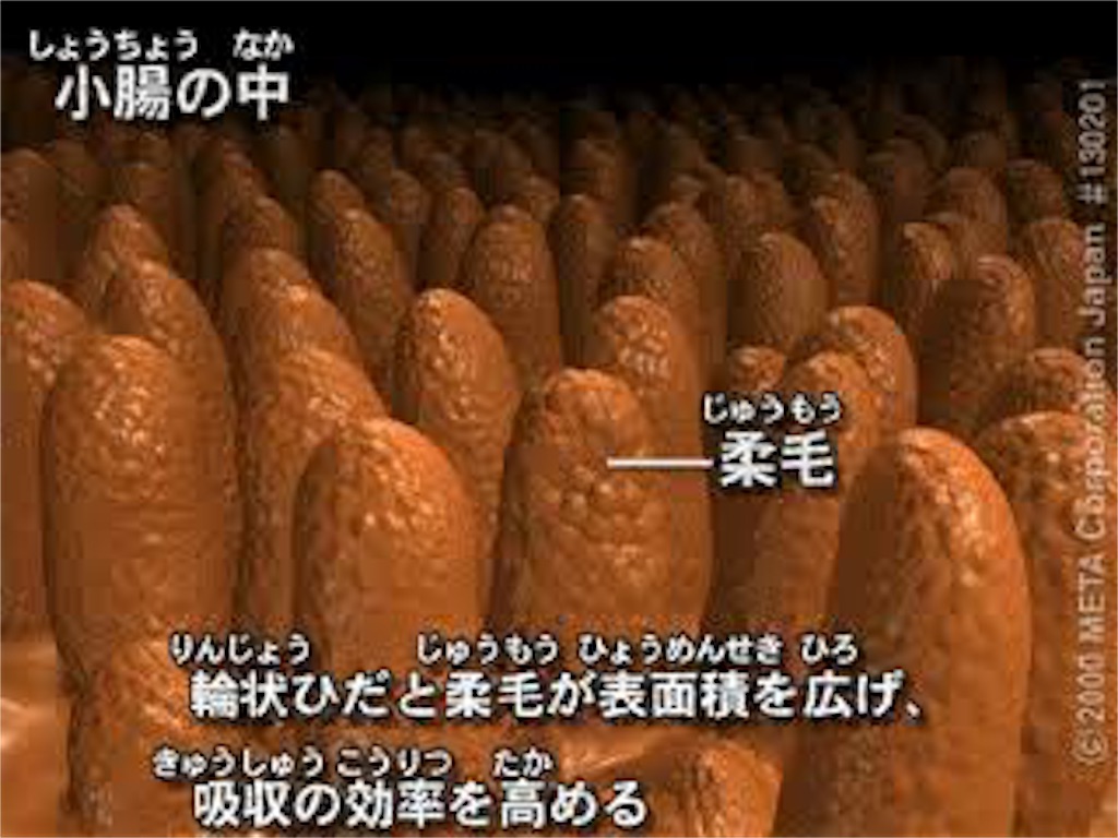 f:id:iropiiii:20180805213025j:image f:id:iropiiii:20180805213025j:image