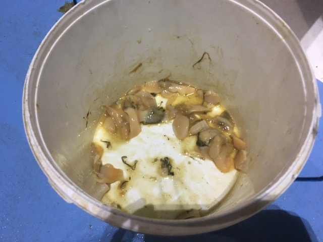f:id:iroppu:20170817024652j:plain f:id:iroppu:20170817024652j:plain