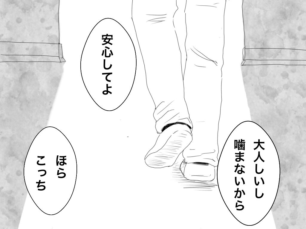 f:id:iroppu:20200331015554p:plain