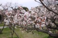 20100313153818