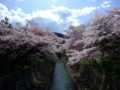 20100410133703