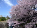 20100410133913
