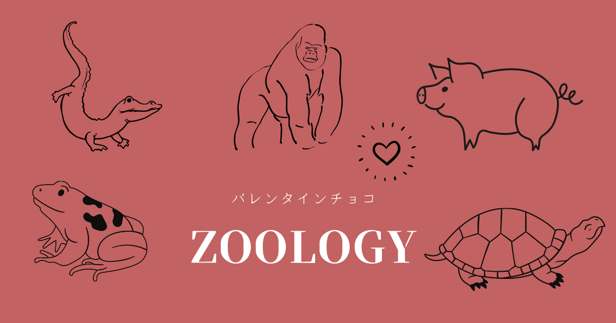 f:id:irotora:20220129221859p:plain