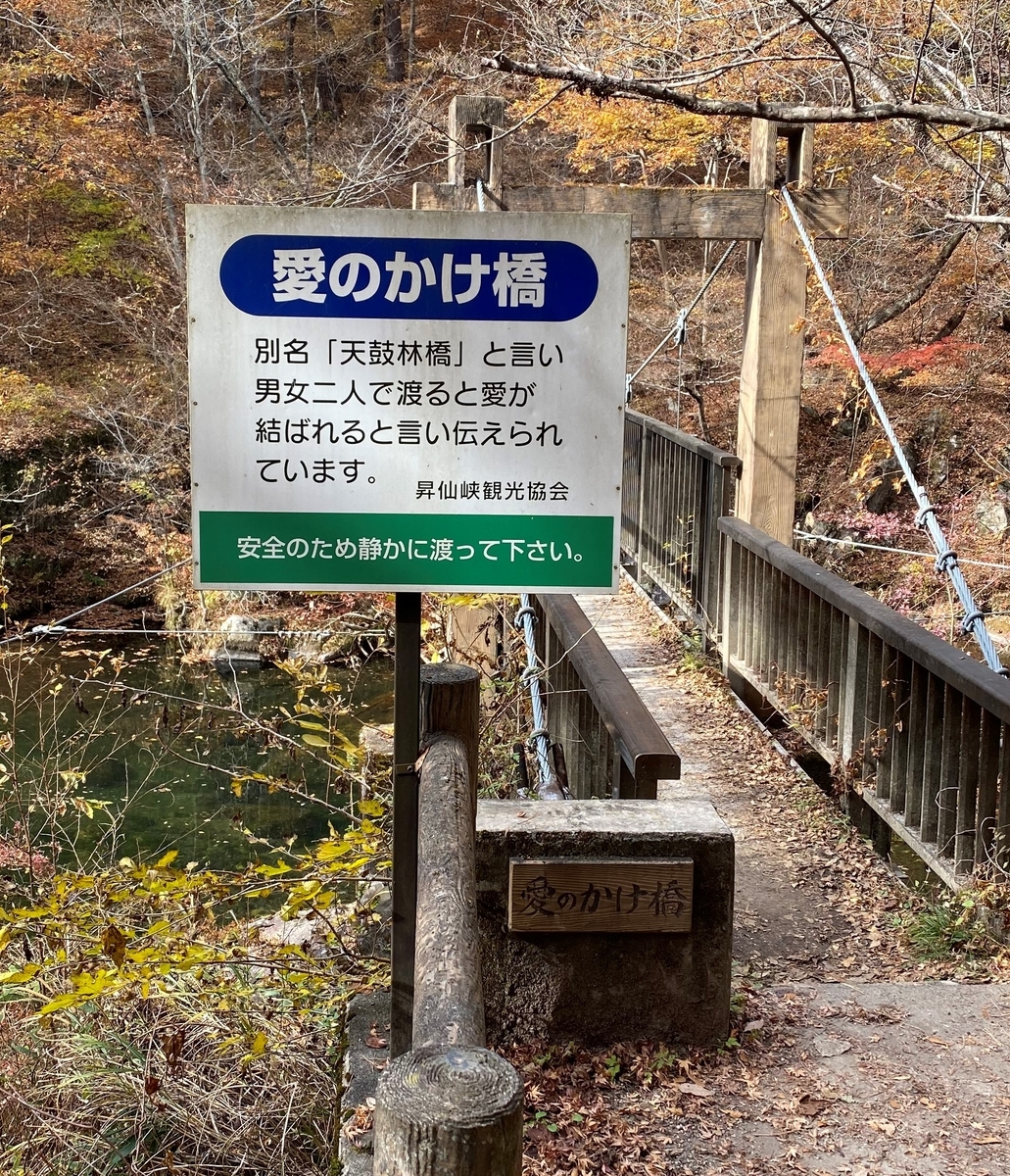 f:id:irregularY:20211203221446j:plain